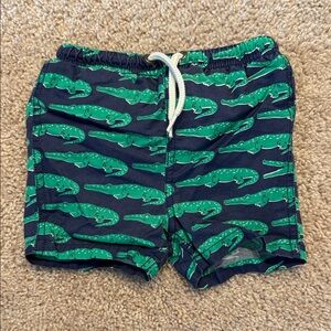 Baby Boden Blue and Green Swim Shorts